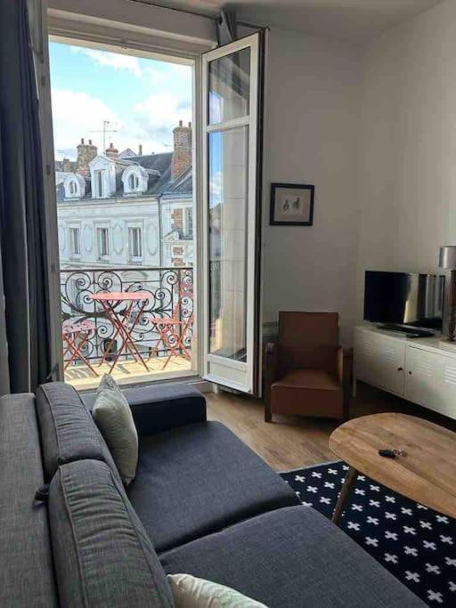 Apartament ~Rosa Bonheur~Hyper Centre Blois Zewnętrze zdjęcie